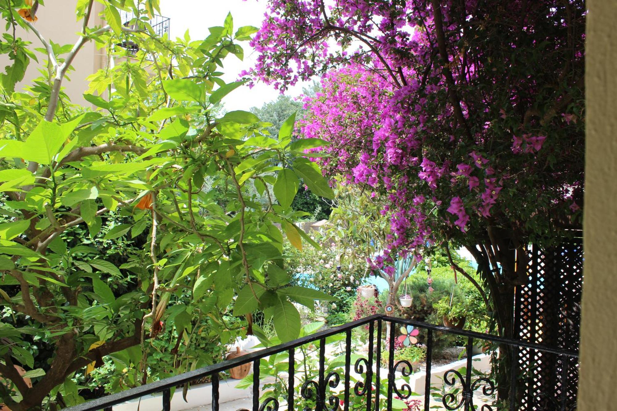 Tunacan Hotel Oludeniz Eksteriør bilde