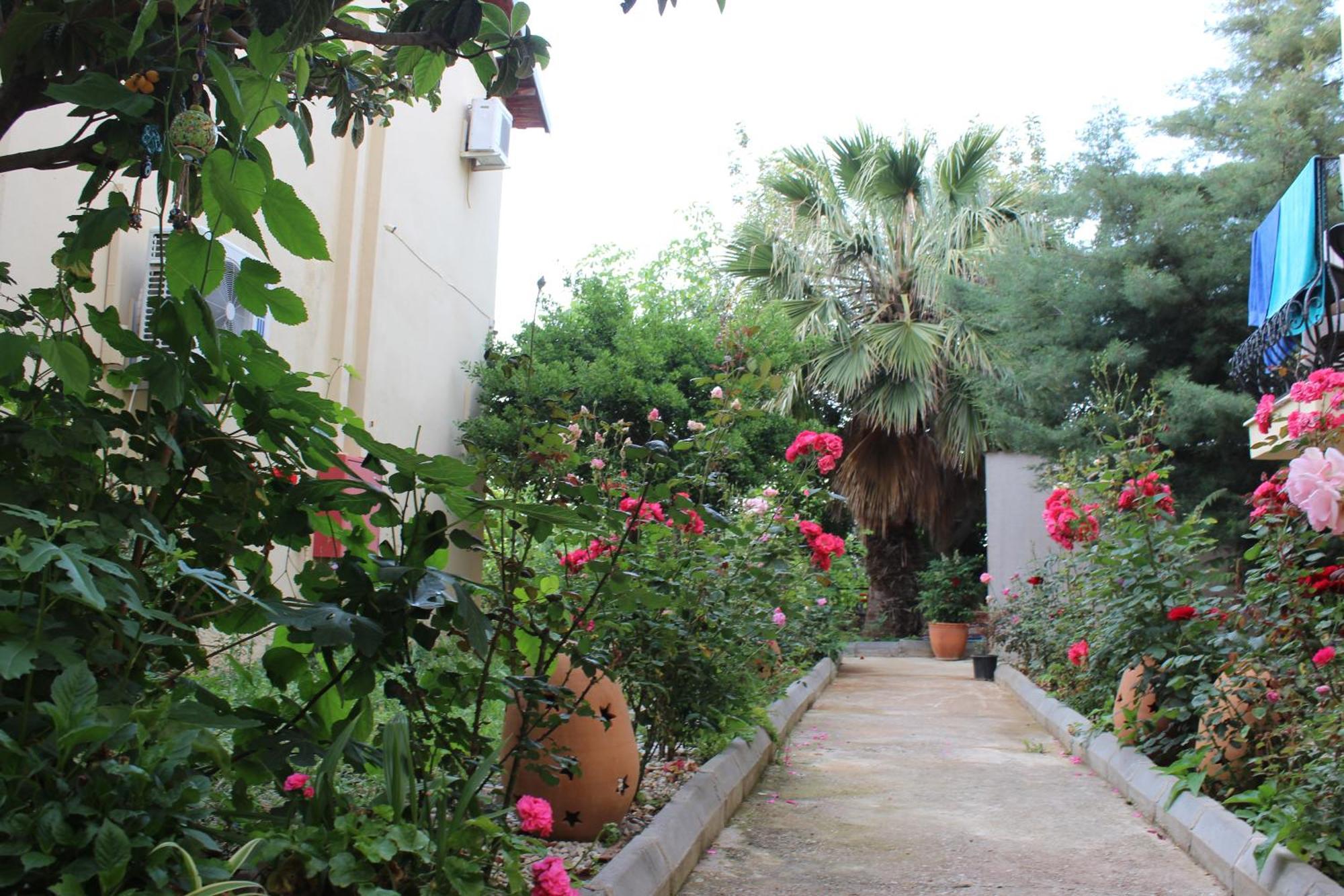 Tunacan Hotel Oludeniz Eksteriør bilde